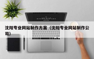 福建沈阳专业网站制作方案（沈阳专业网站制作公司）